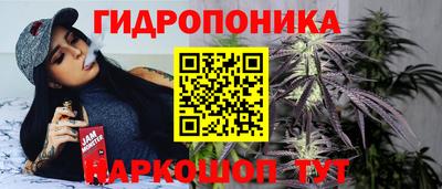 шишки Янаул