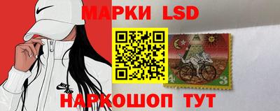 spice Ярославль