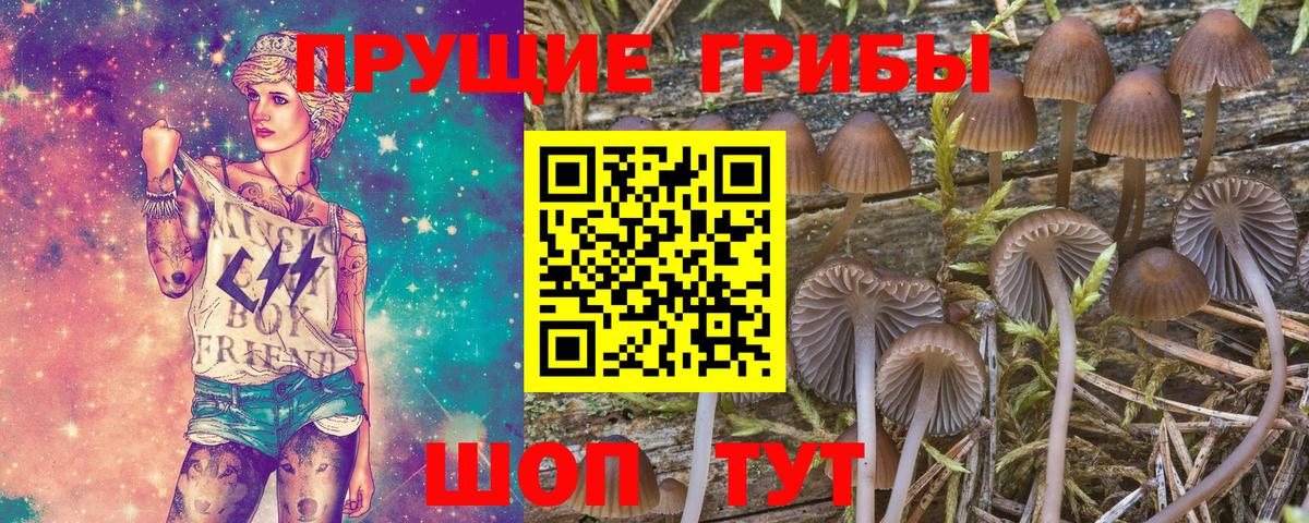 купить наркоту  Псилоцибиновые грибы GOLDEN TEACHER  Вход с VPN  Ленинск-Кузнецкий  Галлюциногенные грибы Psilocybe 